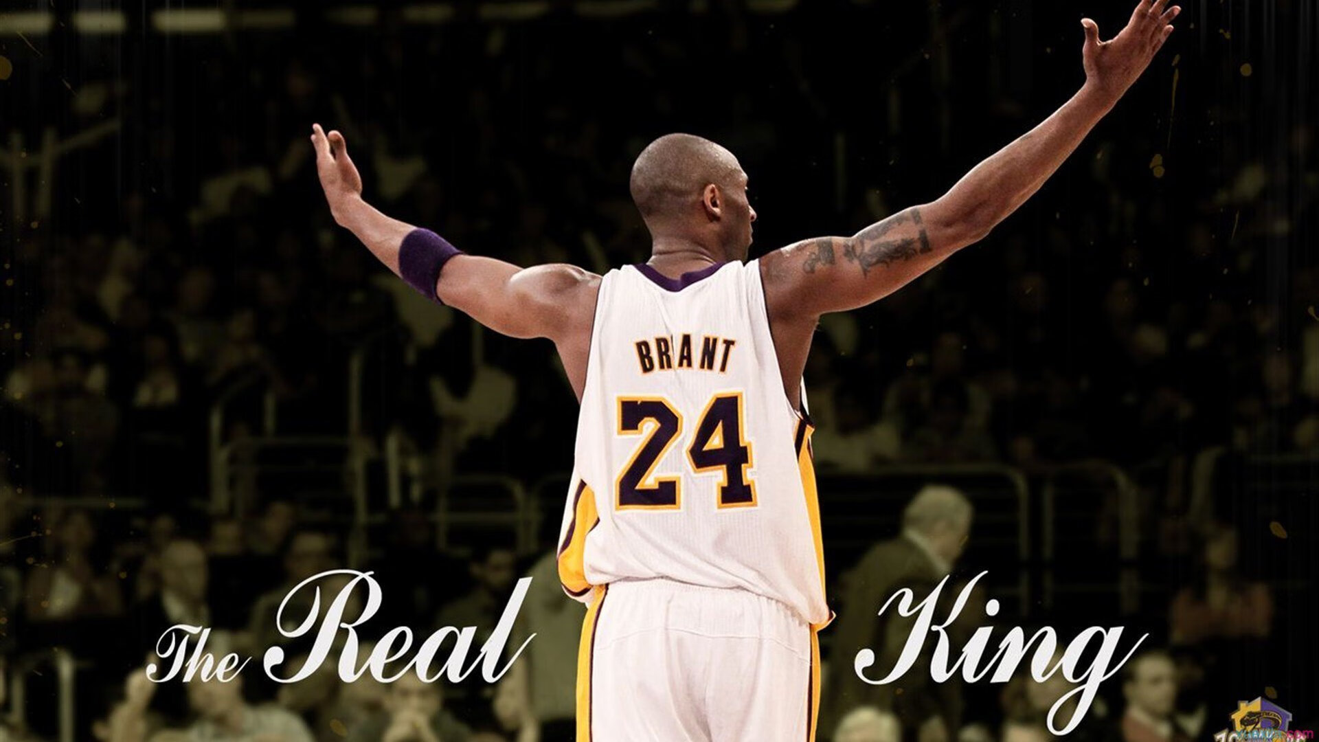 “高原疯狂:雪山之巅的极限比拼”,雪山高峰